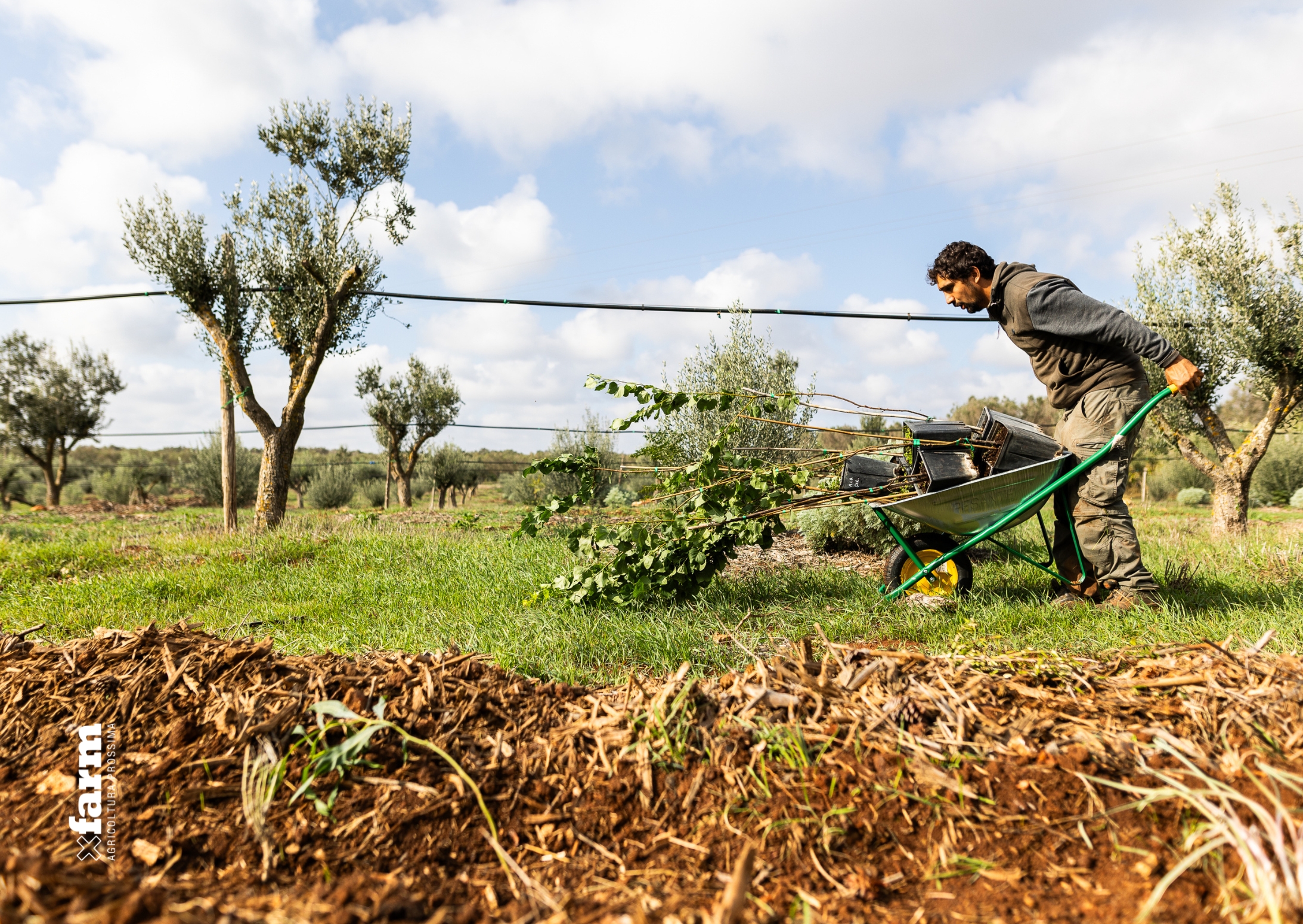 chiamata aperta corso agroecologia