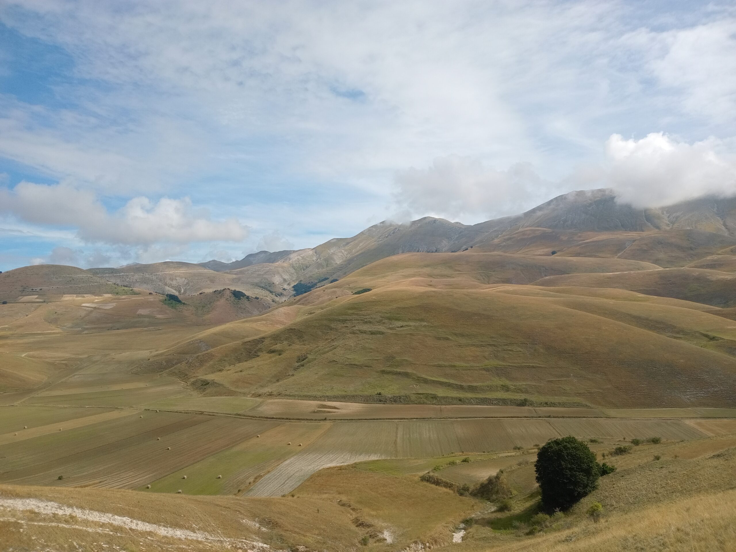 20240820 101416 scaled