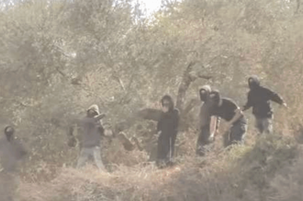 HEADER cisgiordania 2