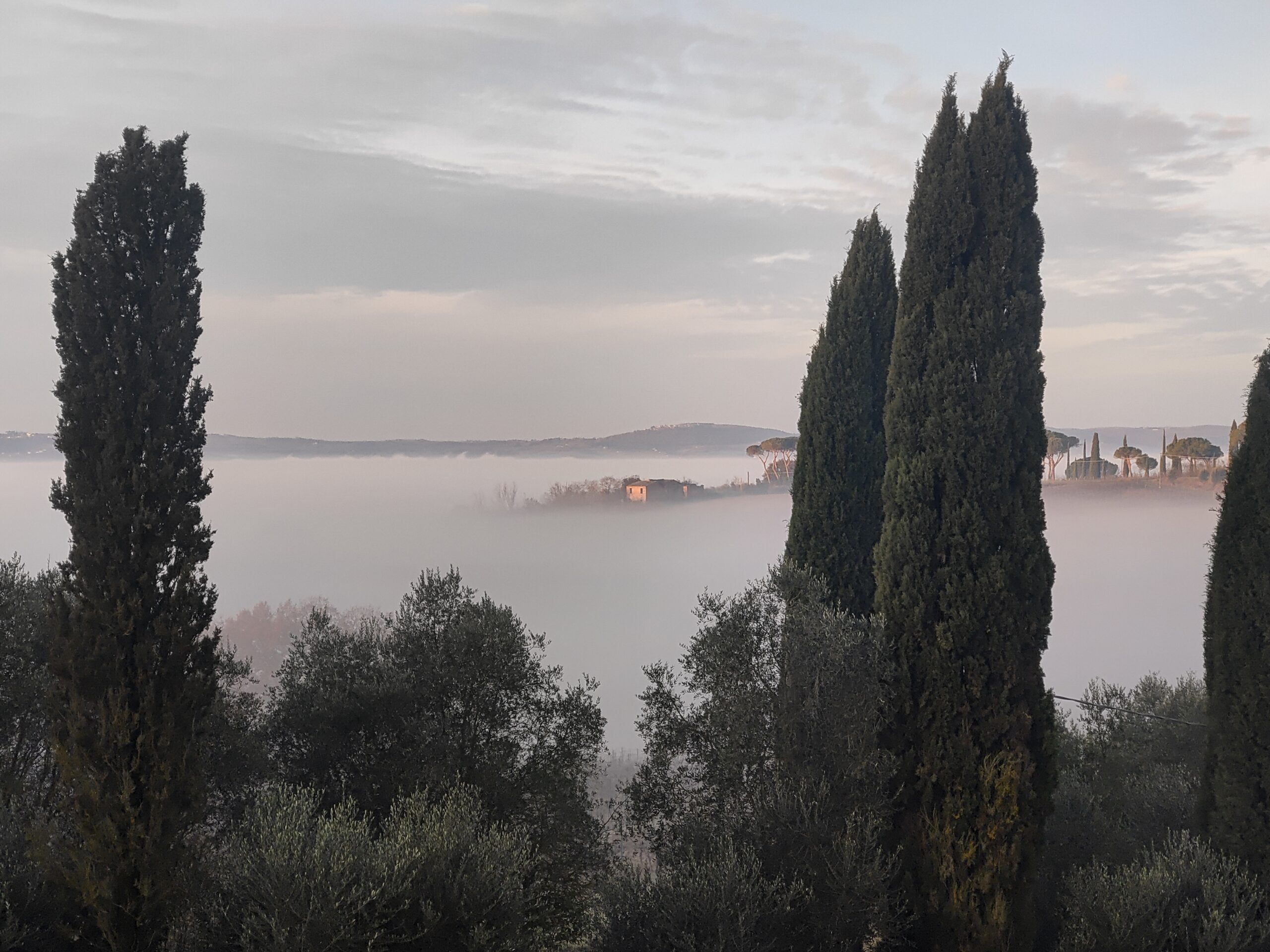 IMG 20251221 080218 scaled