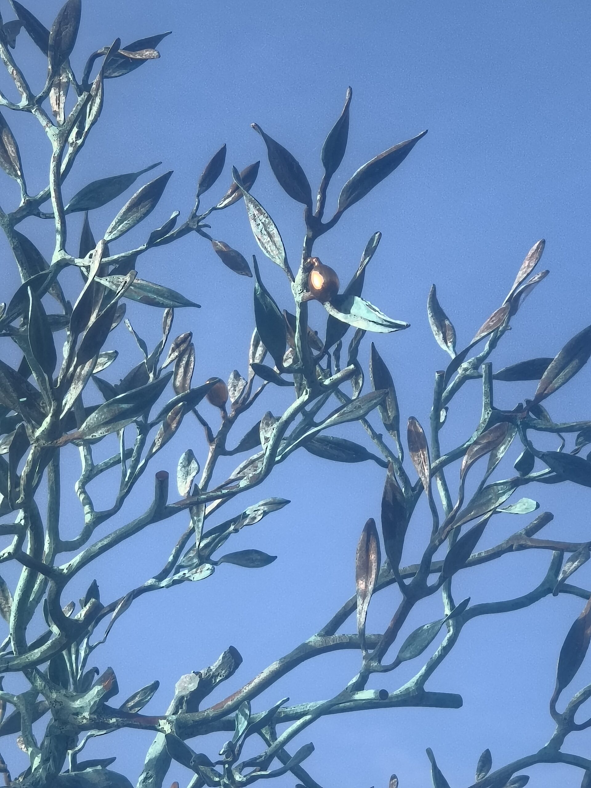 IMG 20260123 150243574 HDR scaled