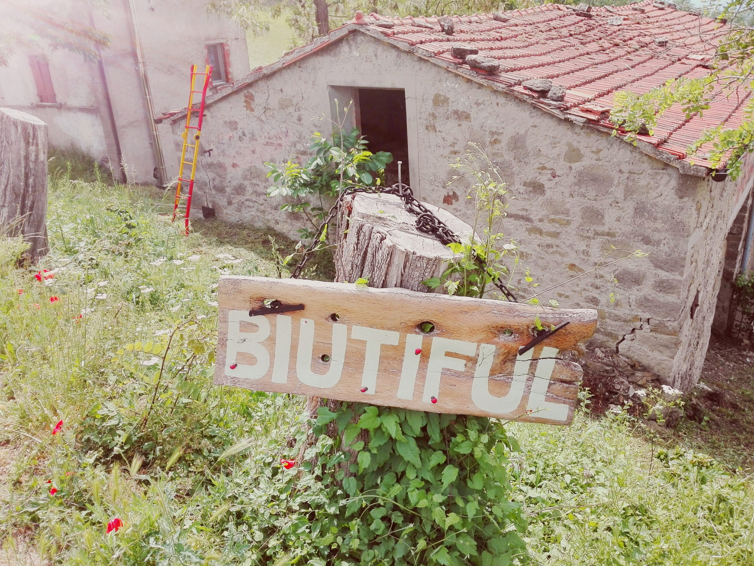 cartello biutiful scaled