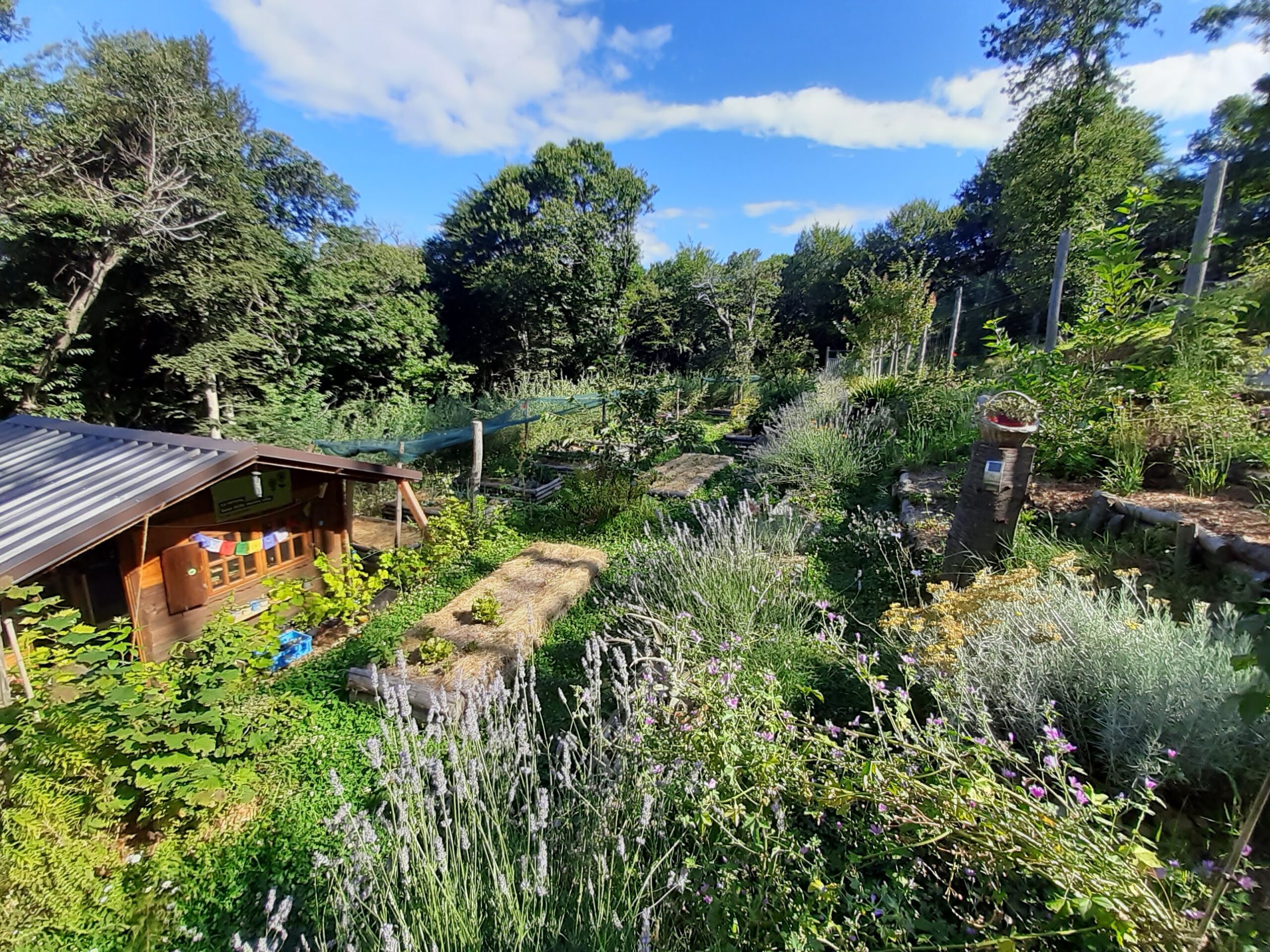 20240722 100222 1 scaled