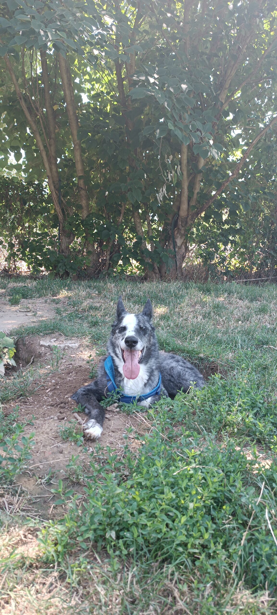 IMG 20250716 143032 2 scaled