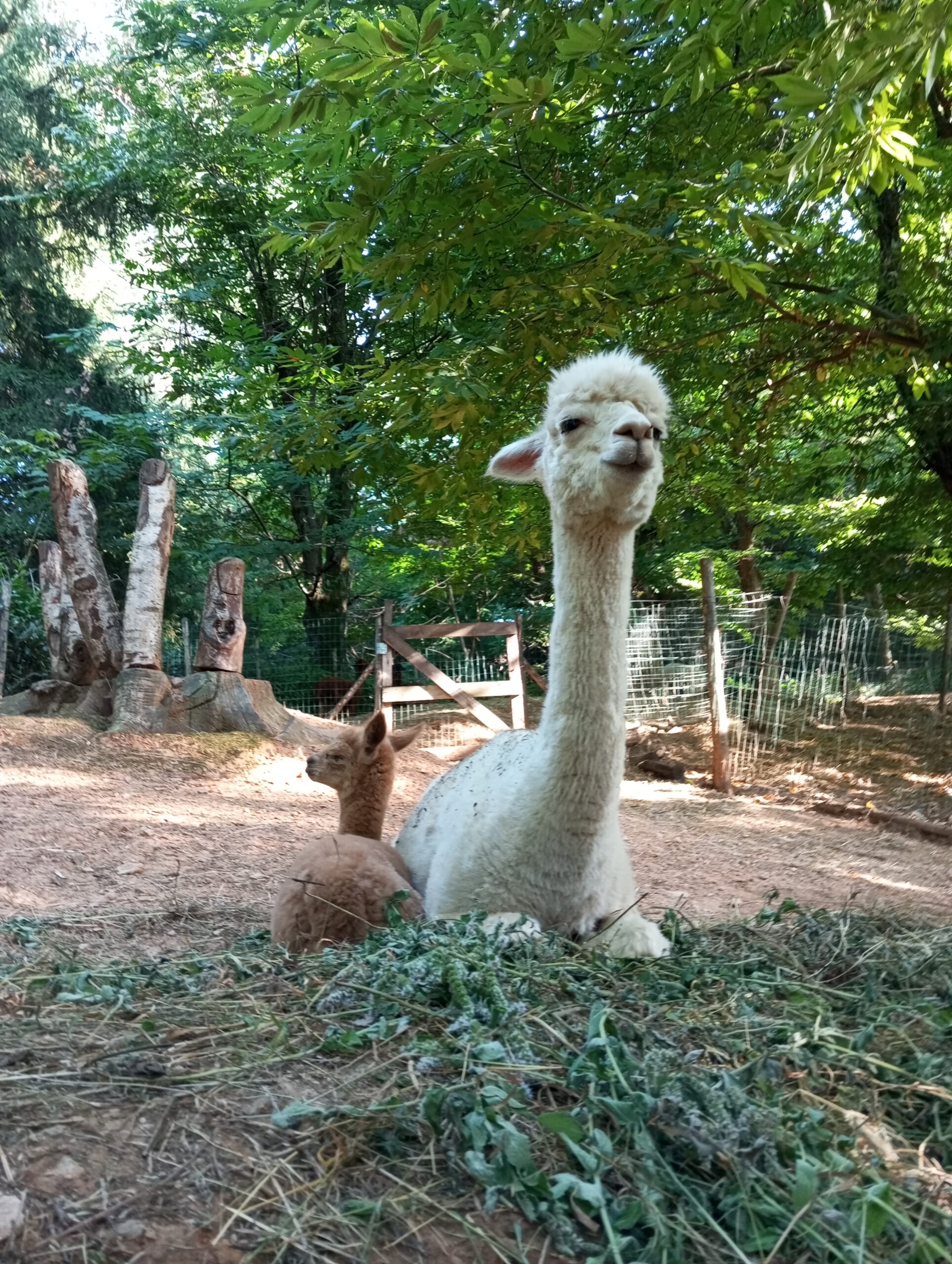 IMG 20250816 180440 1 scaled