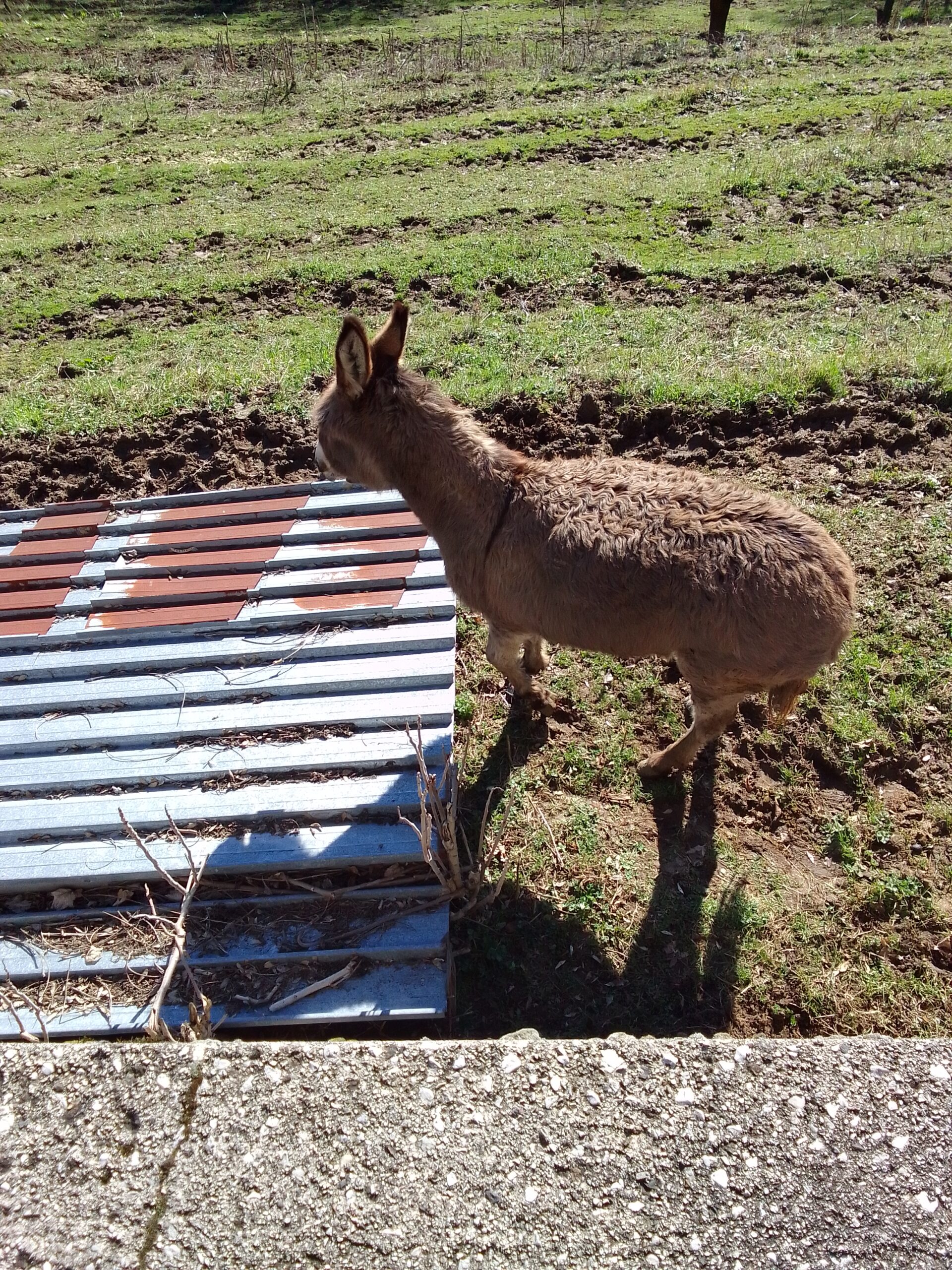 IMG 20260217 110033 1 scaled