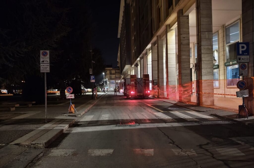 Il caso dei cedri di Cuneo: i cittadini scendono in piazza per salvarli dall'abbattimento