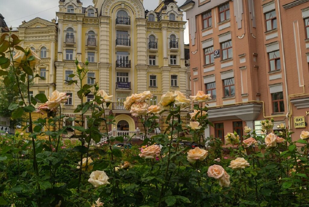 Nature Restoration Law