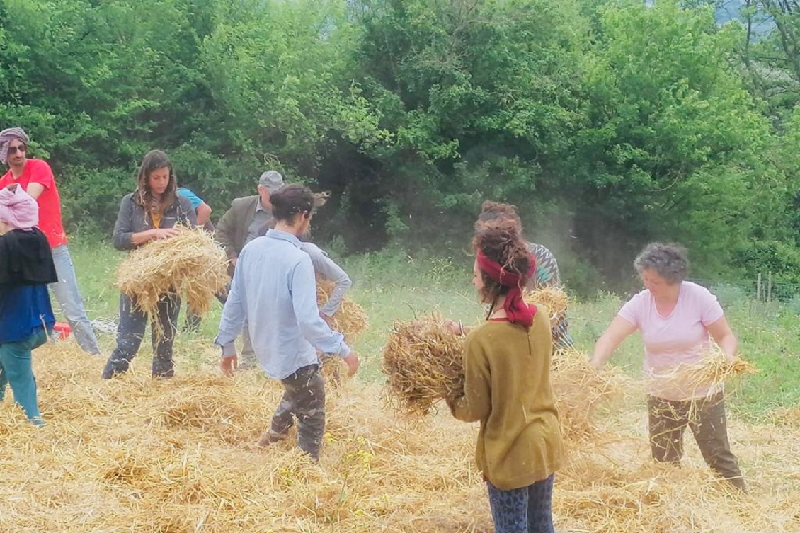 ran entra in rete semi rurali