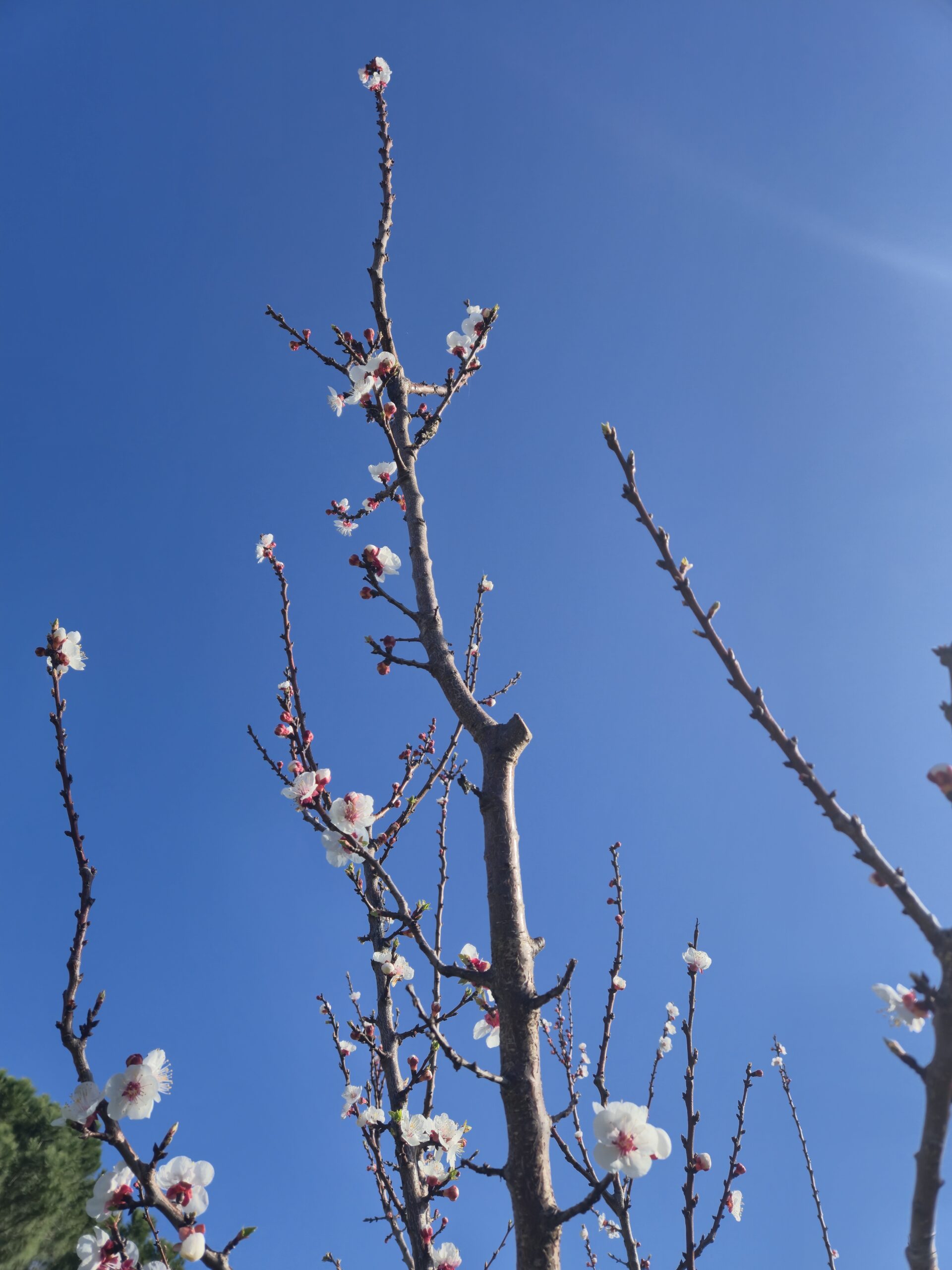 20260319 085925 1 scaled