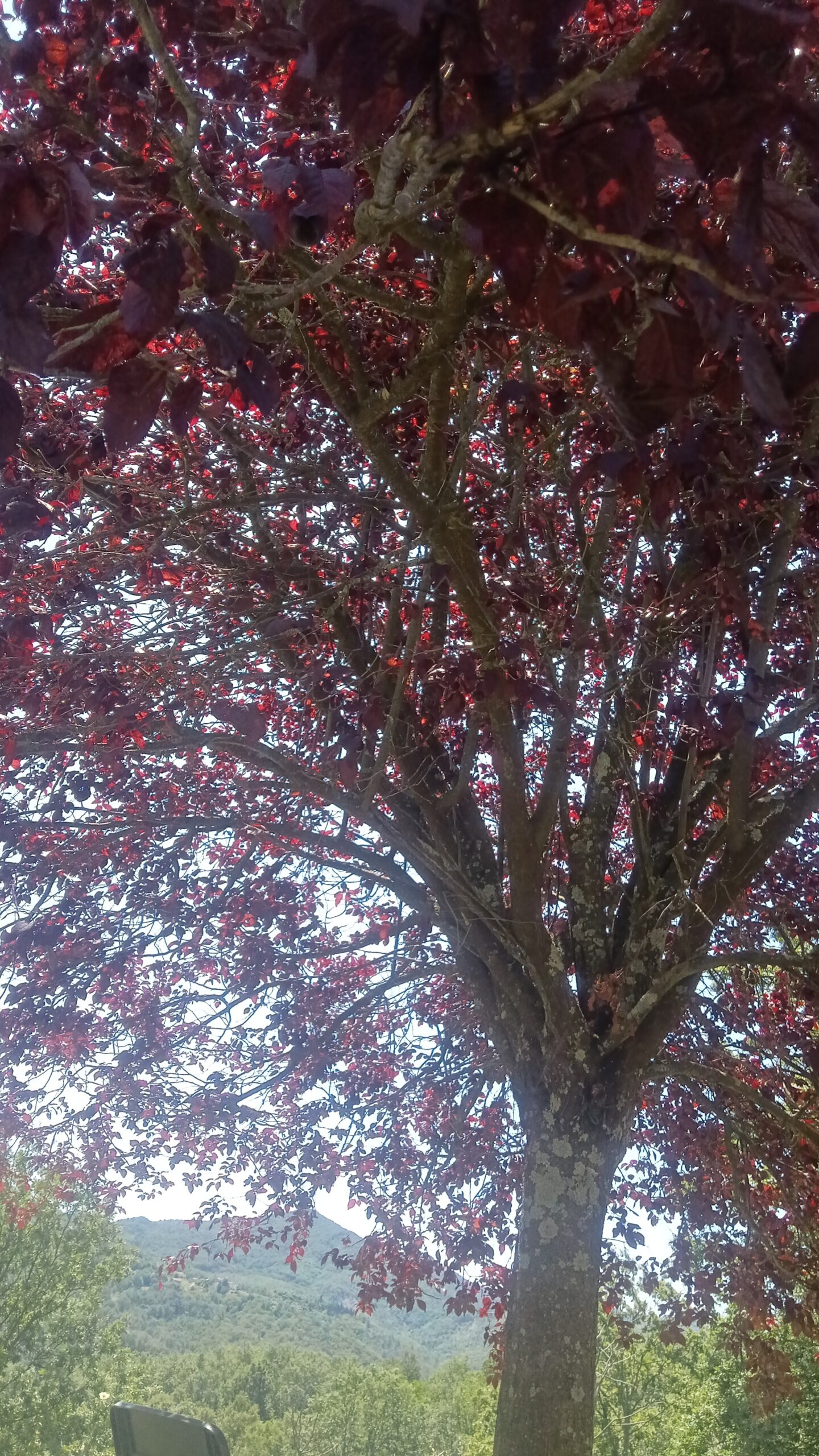 IMG 20230726 WA0016 scaled