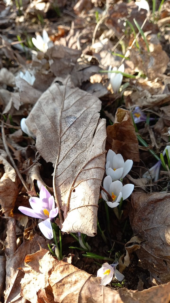 IMG 20260320 190624 767