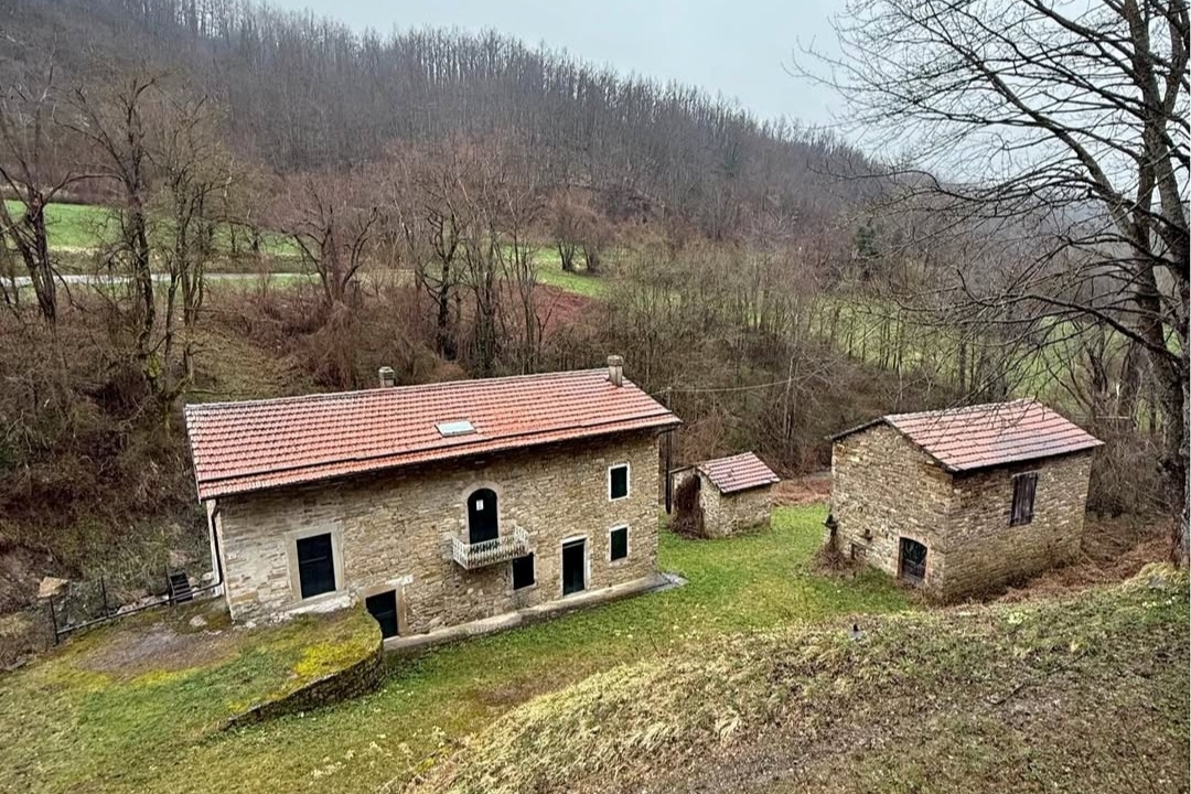 Screenshot 20260322 081922 4