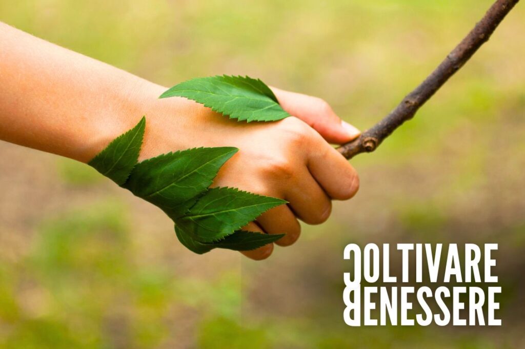 Tra le montagne e le api della Val Pennavaire una storia di cambiamento5