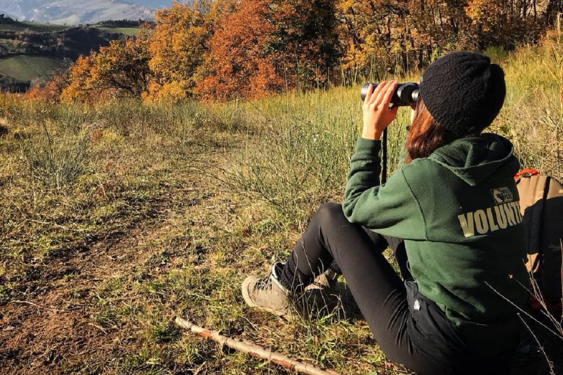 carlotta nucci lupo2