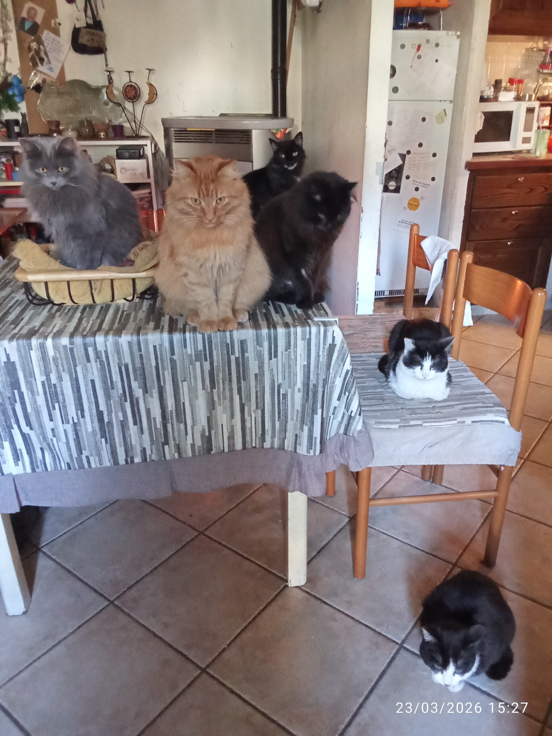 IMG 20260323 152741 scaled