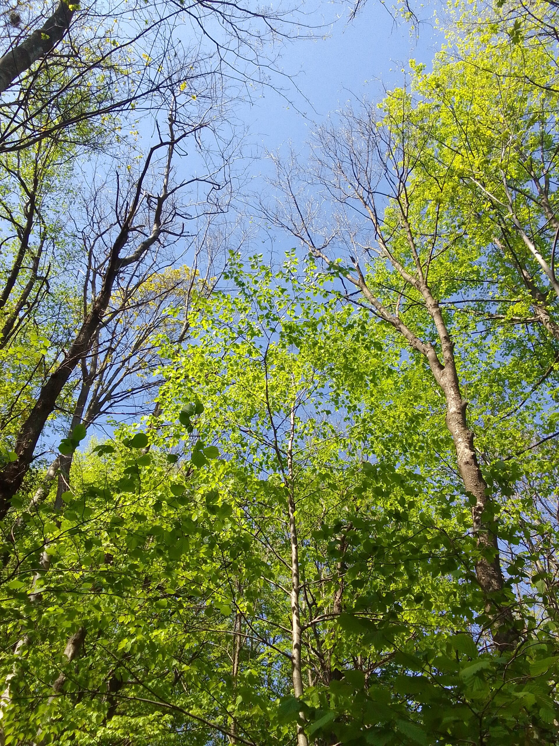 IMG 20260411 143248 scaled