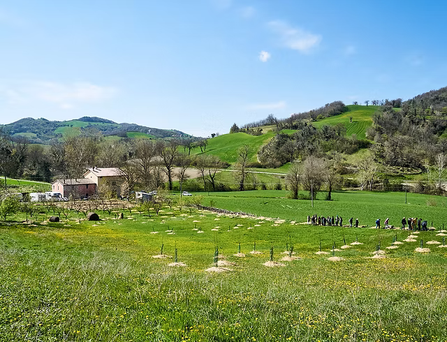 da0298 7a47f874b49e49baa60104f5bbb6a43bmv2