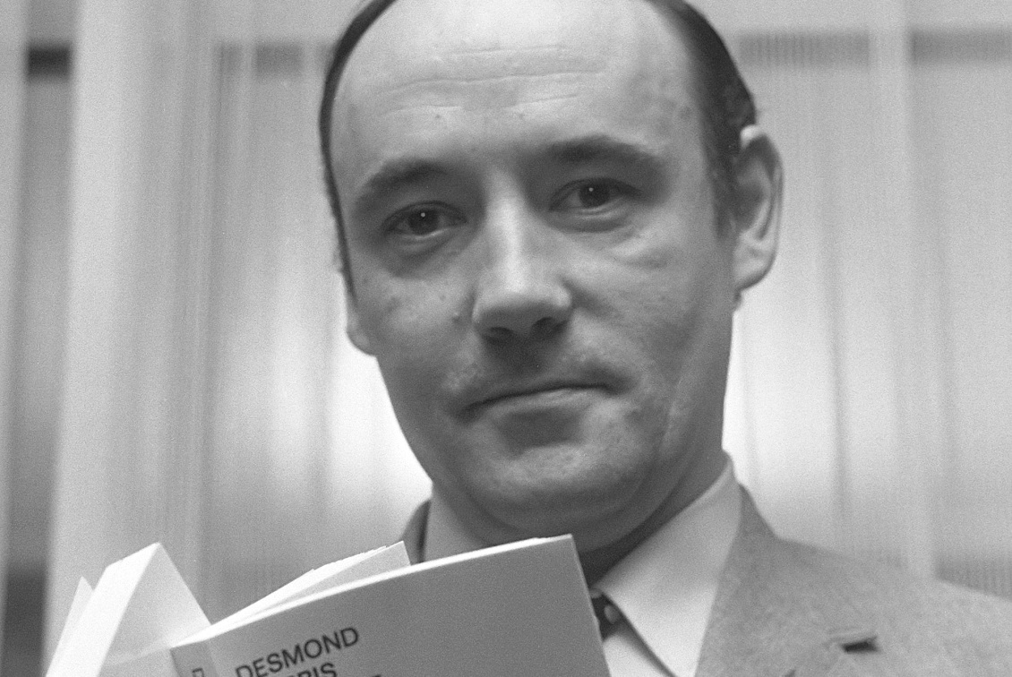 desmond morris