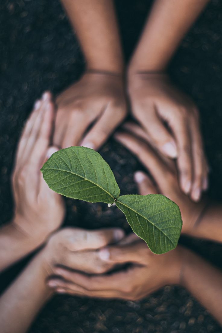 photo 2026 04 14 11 43 06