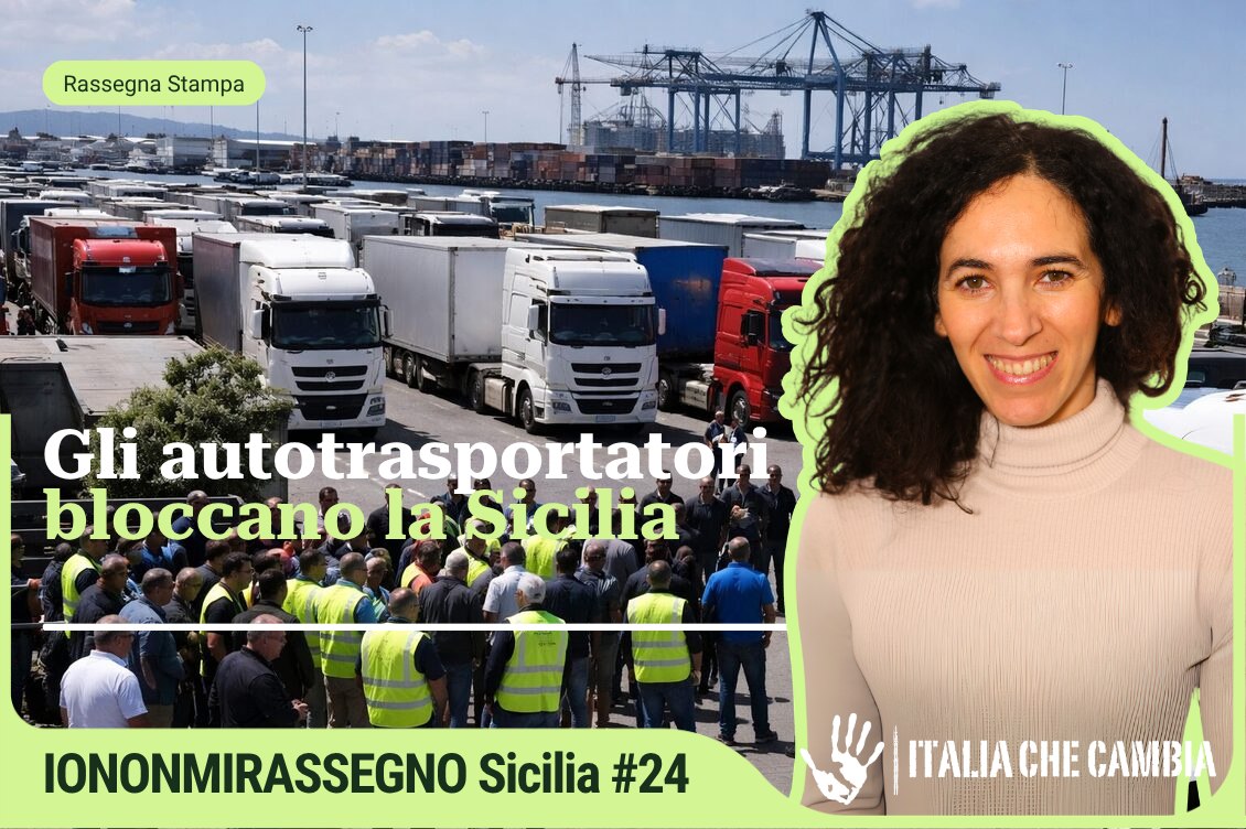 photo 6019285065373781079 y