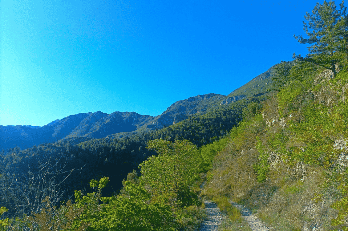 Trekking