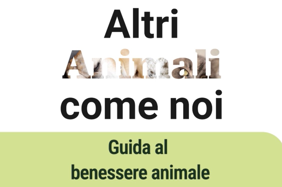 Animali come noi: guida al benessere animale