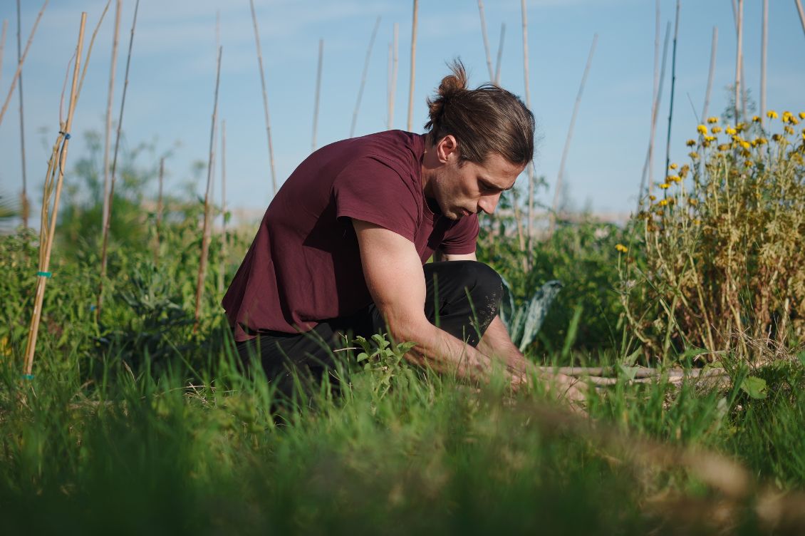 Persona al lavoro nei campi in un progetto di agricoltura sociale