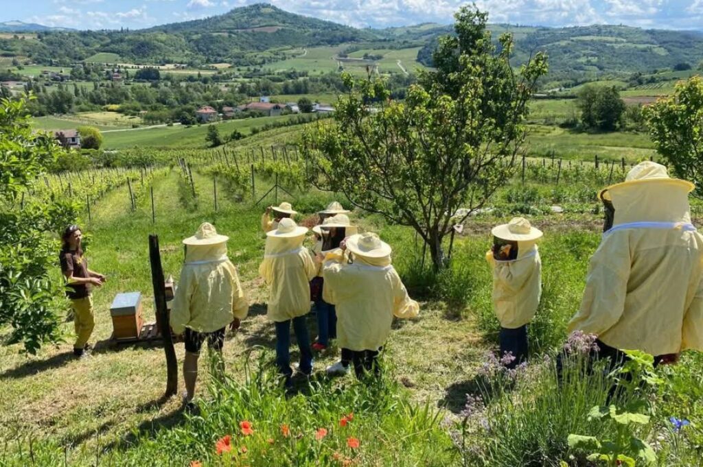Gruppo di visitatori con tute da apicoltore durante una visita in apiario per scoprire miele, api e territorio