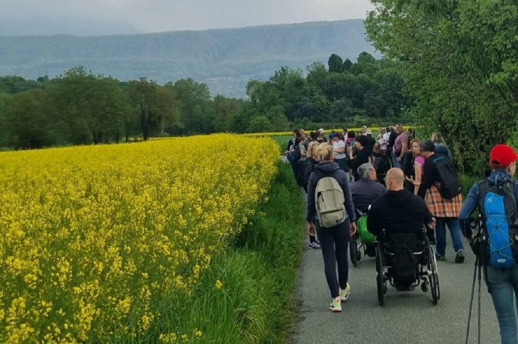 Richiamo del Bosco
