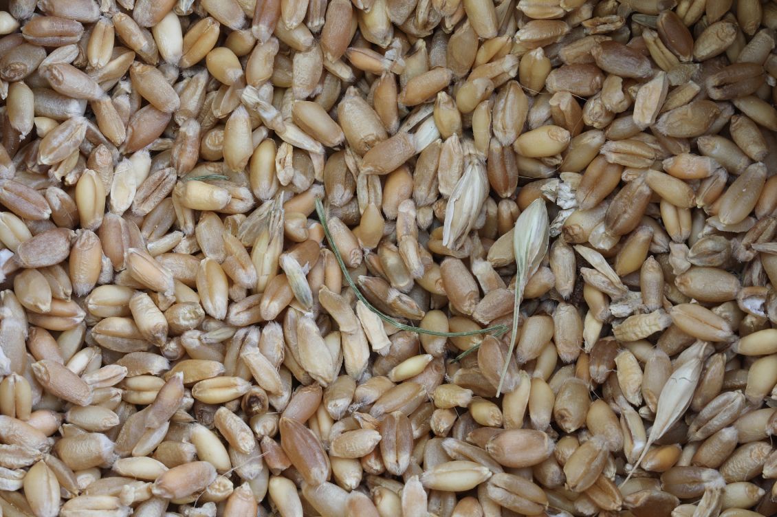 semi antichi