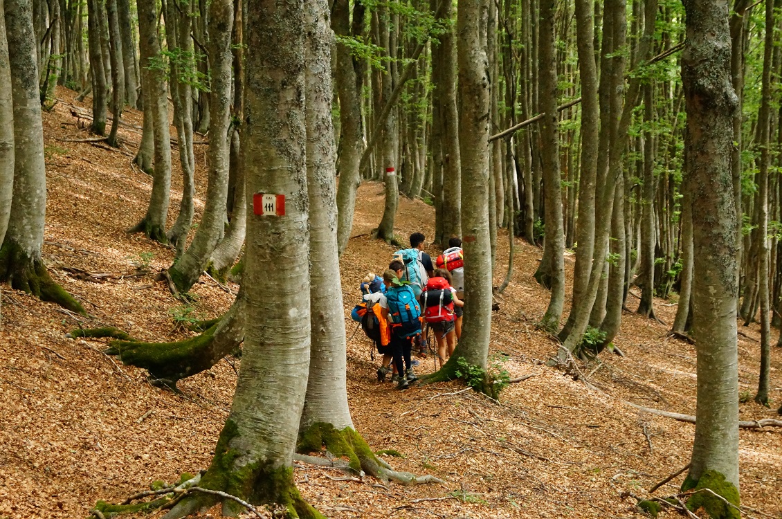trekking con bambini 1 1