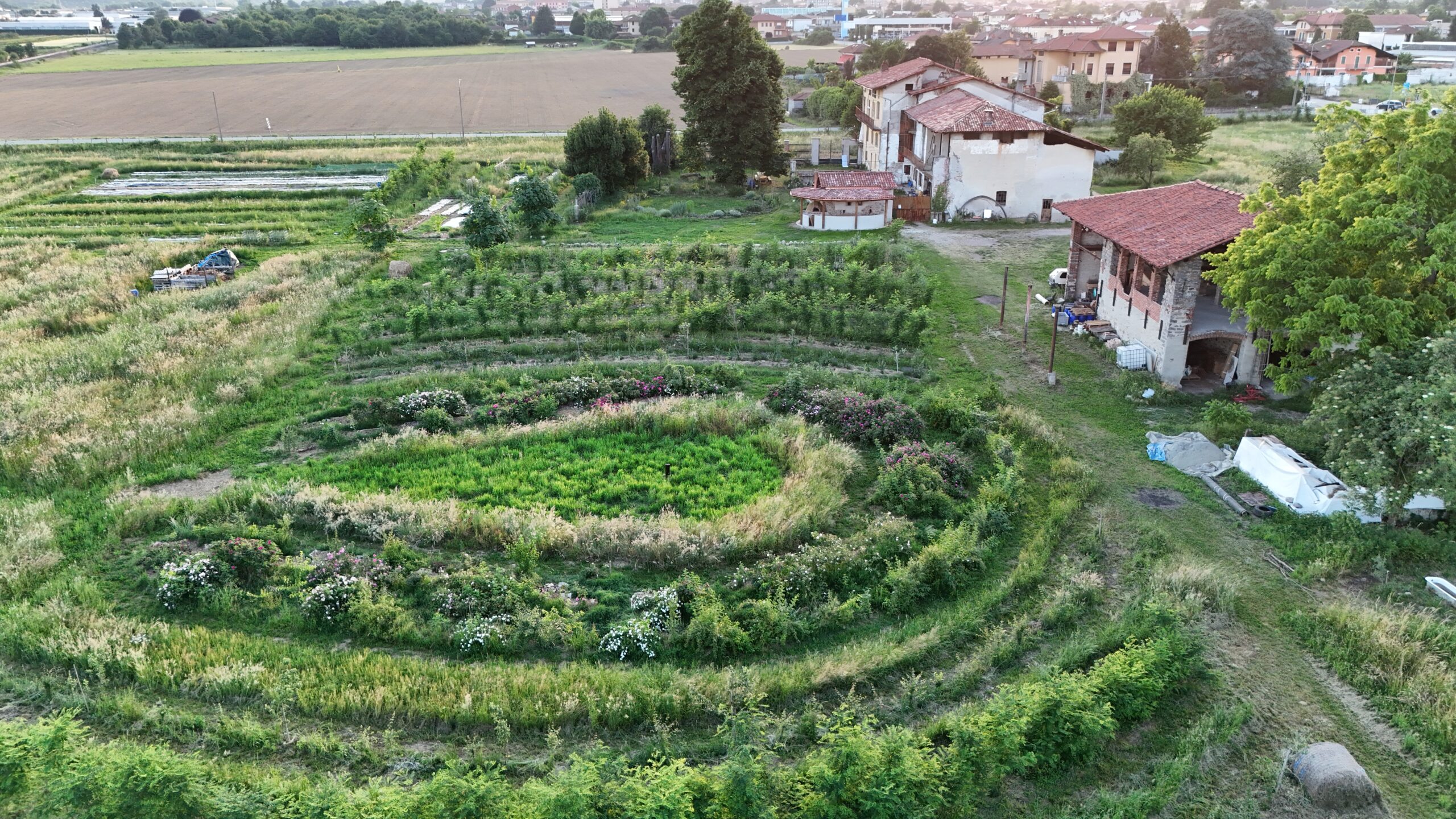 DJI 20260526201602 0059 D scaled