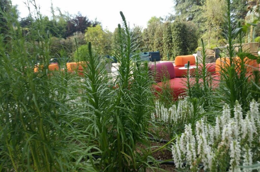 giardino