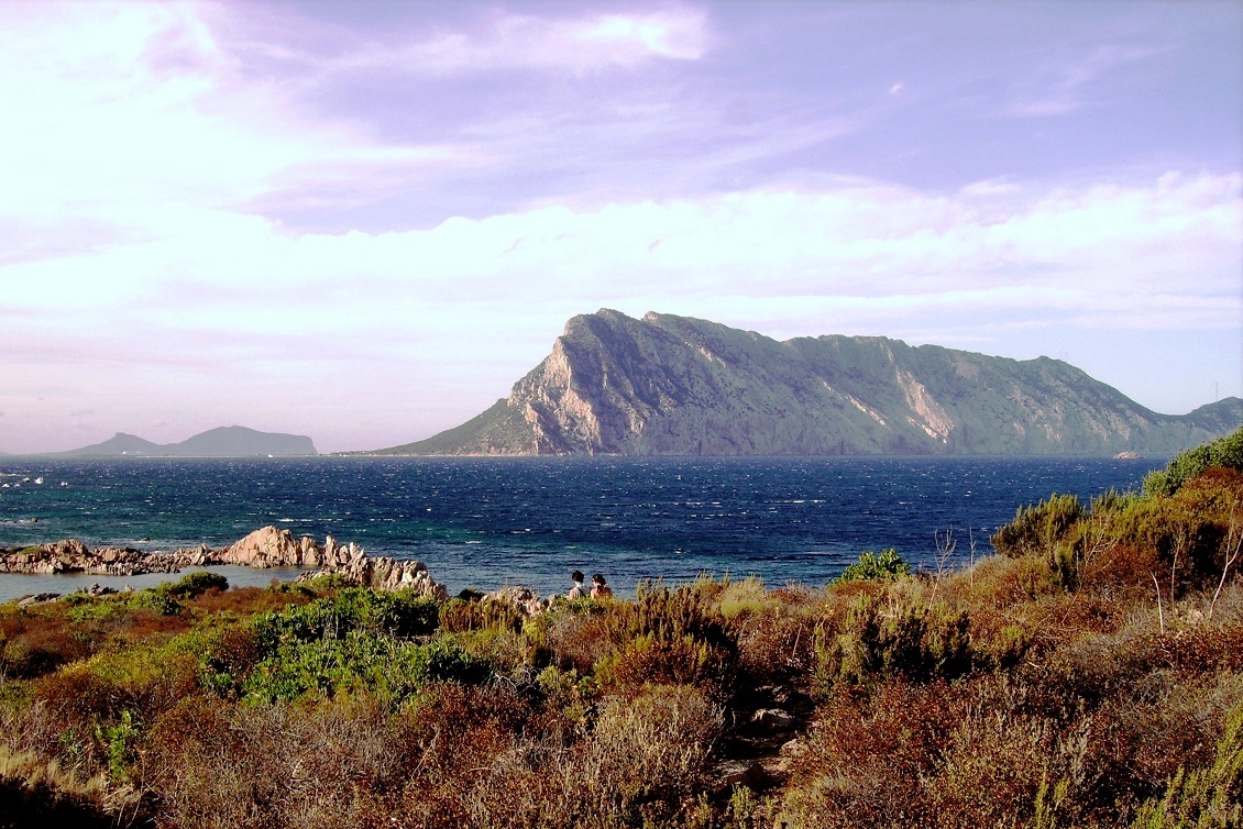 tavolara cala finanza