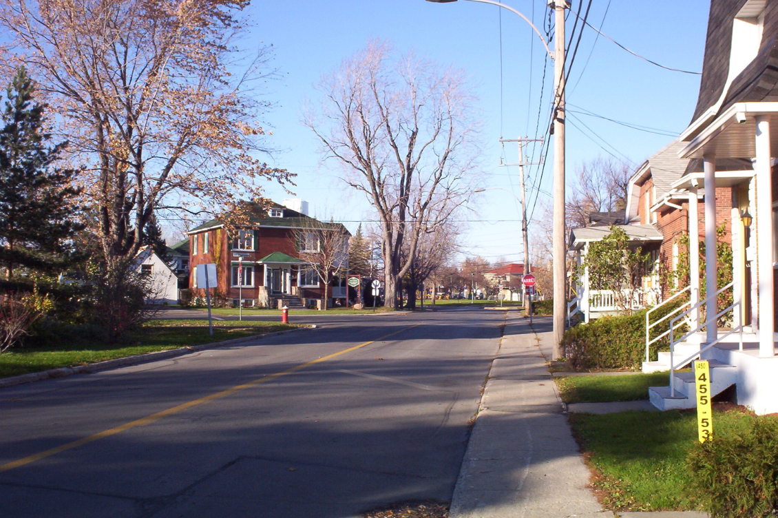 alberi diritto crescere canada