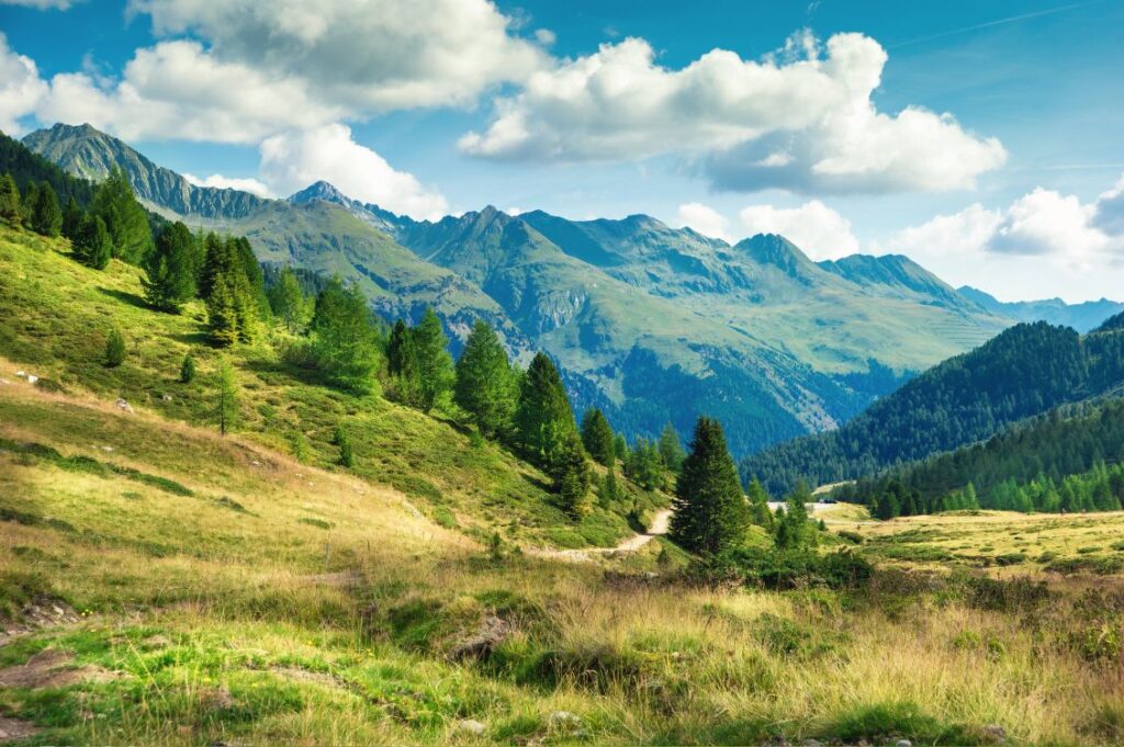 Boschi italiani, pascoli e sentieri in un paesaggio montano alpino