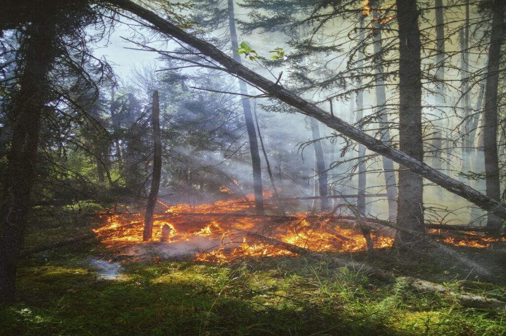 incendi sicilia