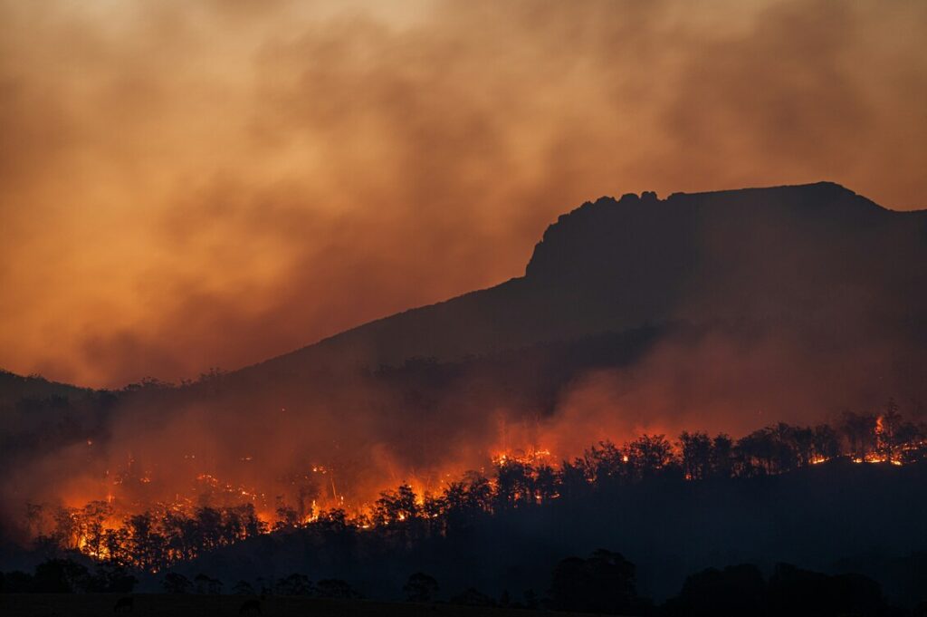 incendi sicilia