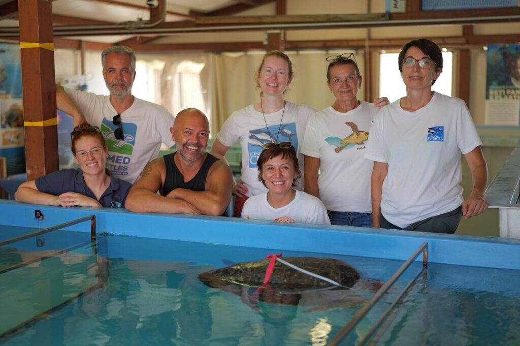 fondazione cetacea93