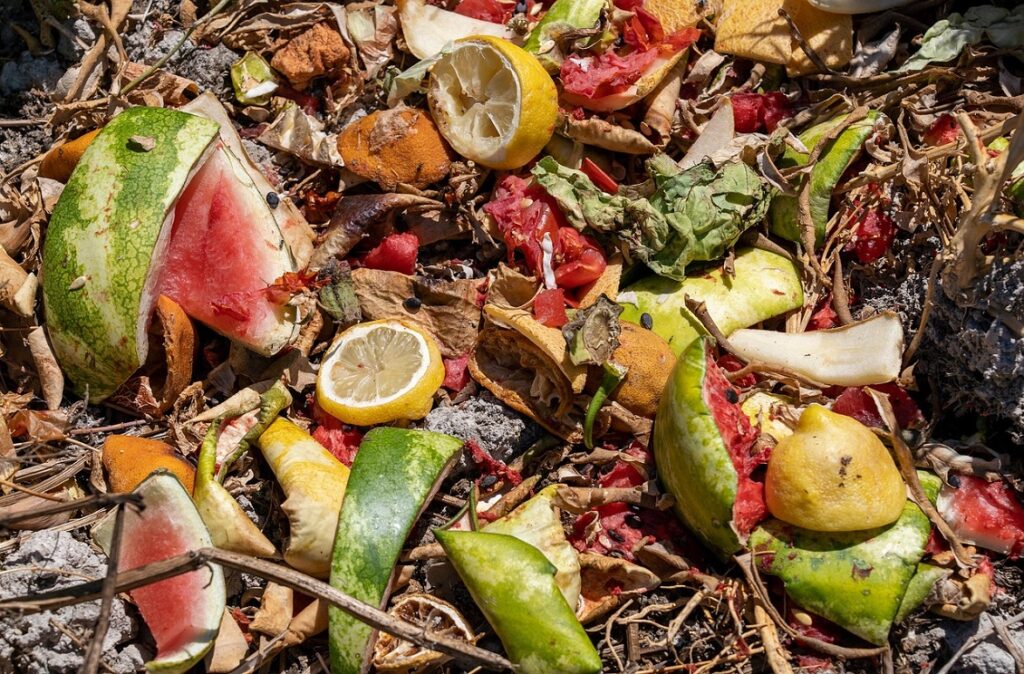 Spreco alimentare