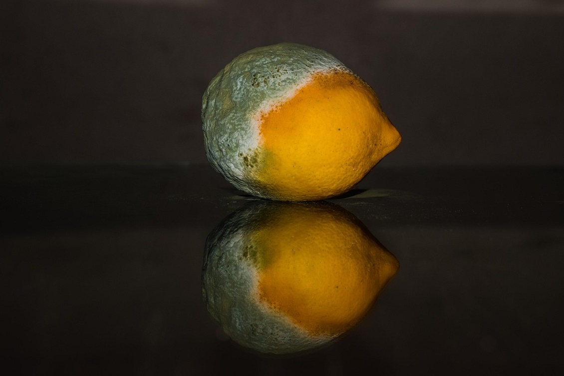 spreco alimentare1