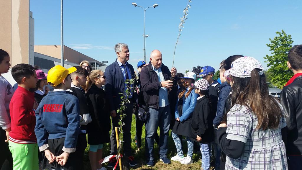 bosco per la citta classi piantano alberi 1526627935