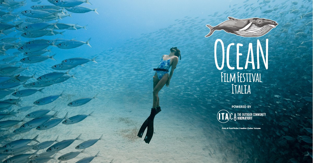 ocean film festival viaggio salvaguardia mondo marino 1570652134