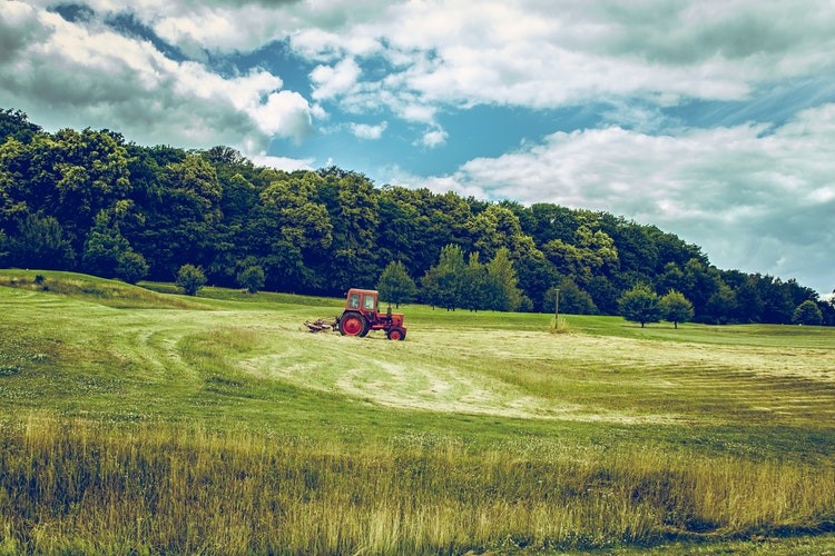 ora in piemonte nuova legge agricoltura 1547033428