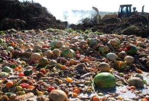 Pasti solidali per combattere gli sprechi alimentari