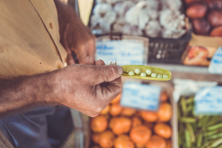 torna una babele di semi scambio insegna autoproduzione antichi saperi 1548849964