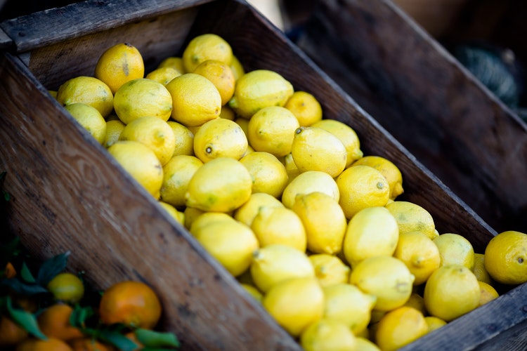 tornano limoni per la ricerca sostegno alla lotta contro tumori 1551652601