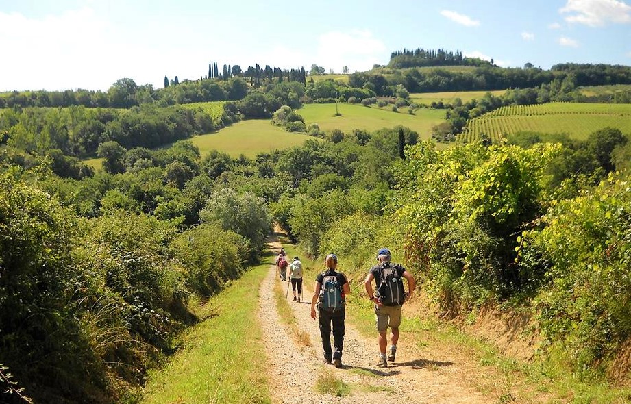 via francigena futuro patrimonio mondiale unesco 1550831574