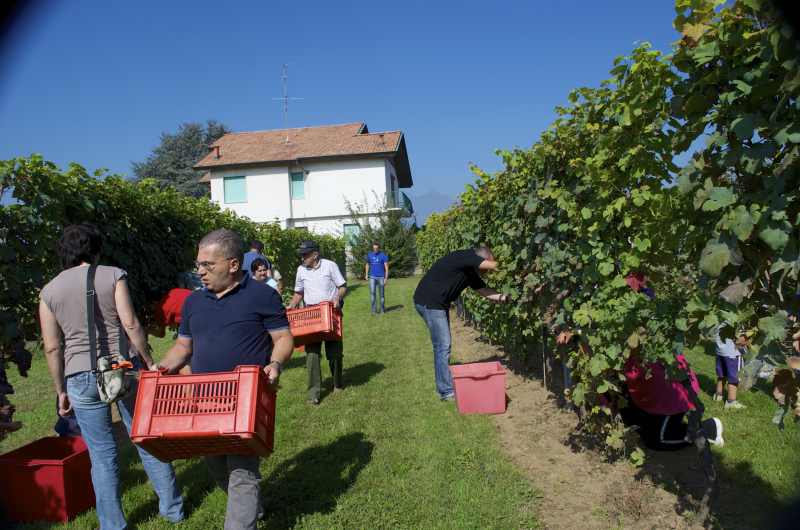 vino del sorriso solidarieta disabilita 1517561350